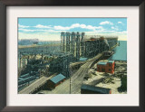 Newport News, Virginia, View of the C. and O. Railroad Company's New Pier, no.9 Print