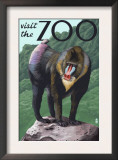 Visit the Zoo, Mandrill Scene Posters