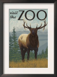 Visit the Zoo, Elk Solo Posters by Lantern Press 