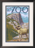Visit the Zoo, Big Horned Sheep Scene Posters by Lantern Press 