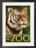 Visit the Zoo, Sumatran Tiger Scene Poster by Lantern Press 