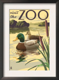 Visit the Zoo, Mallard Ducks Scene Prints by Lantern Press 