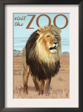 Visit the Zoo, Lion Scene Prints by Lantern Press 