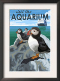 Visit the Aquarium, Pacific Puffins Scene Print by Lantern Press 