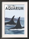 Visit the Aquarium, Orca Fins Poster by Lantern Press 