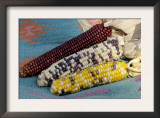 Multicolored Corn, a Native American Staple Crop Art