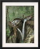 Hydraulic Mining for Gold and Silver in California, c.1800 Prints