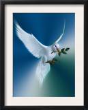 Dove of Peace Prints