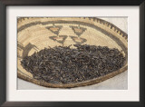 Wild Rice from the Great Lakes Area Posters