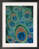 Peacock Feathers Prints