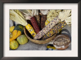 Squash, Corn, and Beans: the Three Sisters of Native American Agriculture Print