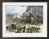 Turpentine Distillery in North Carolina, c.1870 Prints
