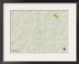 Political Map of Piedmont, SC Poster