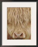 Face of Highland Catle, Scotland, UK Posters by Niall Benvie