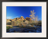 Oak Creek Running Before Cathedral Rocks, Red Rock Crossing, Sedona, Arizona, USA Prints by David Welling