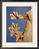 Feet of a Flying Gecko Poster by Jane Burton