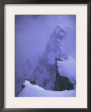 Snowy Shishapangma, Tibet Print by Michael Brown