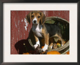Beagle Dog Puppy Art by Lynn M. Stone
