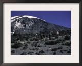 Kilimanjaro's Summit, Kilimanjaro Prints by Michael Brown