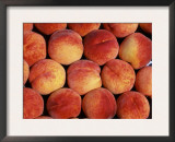 Peaches (Prunus Persica) Europe Prints by  Reinhard
