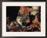 Grey Wolf Portrait with Autumn Leaves, USA Posters by Lynn M. Stone