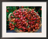 Dog Rose Hips in Basket (Rosa Canina) Europe Prints by  Reinhard