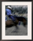 Horse Rider in Motion, USA Posters by Michael Brown