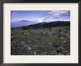 Rocky Terrain with Mountain in the Distance, Kilimanjaro Prints by Michael Brown