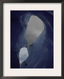 Northern Ice Cap of Glacier, Chile Posters by Nicolas Brown