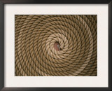 Coiled Deck Ropes on Board M/S Hiorten from 1692 Sweden Prints by Staffan Widstrand