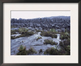 Kukenon, Flat Top Tepuis, Southern Venezuela, South America Posters by Mark Brownlow