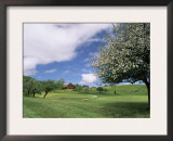 Traditional Farmhouse and Apple Tree in Blossom, Unteraegeri, Switzerland Print by Rolf Nussbaumer