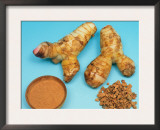Galangal / Ginger Roots and Powder (Alpinia Galanga) Art by  Reinhard