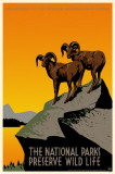 National Parks Preserve Wild Life Masterprint