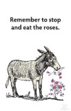 Remember to Stop and Eat the Roses Masterprint