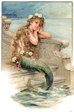 Mermaid Masterdruck