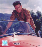Elvis Presley Photographie