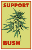 Support Bush Masterprint