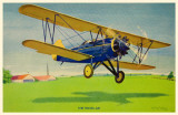 Travel Air Bi-Plane Masterprint