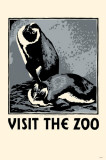 Visit the Zoo Photo