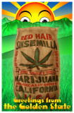 Red Hair Marijuana Masterprint