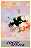 Sydafrika Masterprint Sydafrika Masterprint