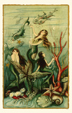 Sirenas Lámina maestra Sirenas Lámina maestra