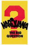 Marijuana The Big Question Masterprint