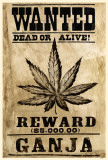 Wanted Ganja Masterprint