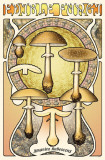 Edible Fungi Masterprint