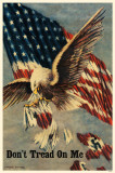 Don't Tread on Me Masterprint