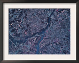 Columbia, South Carolina Print by Stocktrek Images 