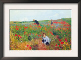 Poppies Posters by Mary Cassatt