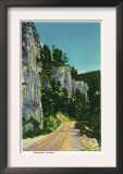 Black Hills, South Dakota - View of Spearfish Canyon, c.1937 Posters